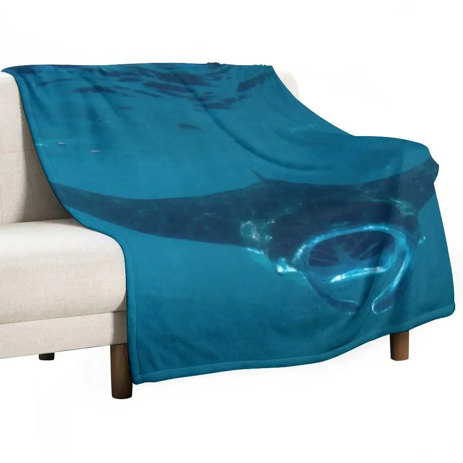 3D Printing Bali - Curious Manta Ray At Crystal Bay