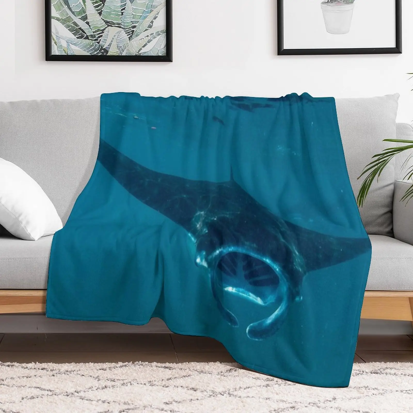 Curious Manta Ray At Crystal B - đánh giá và giá 3D Printing Bali