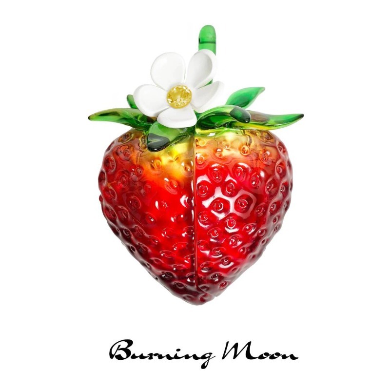 Strawberry Earphone Case for A - đánh giá và giá 3D Printing Housing